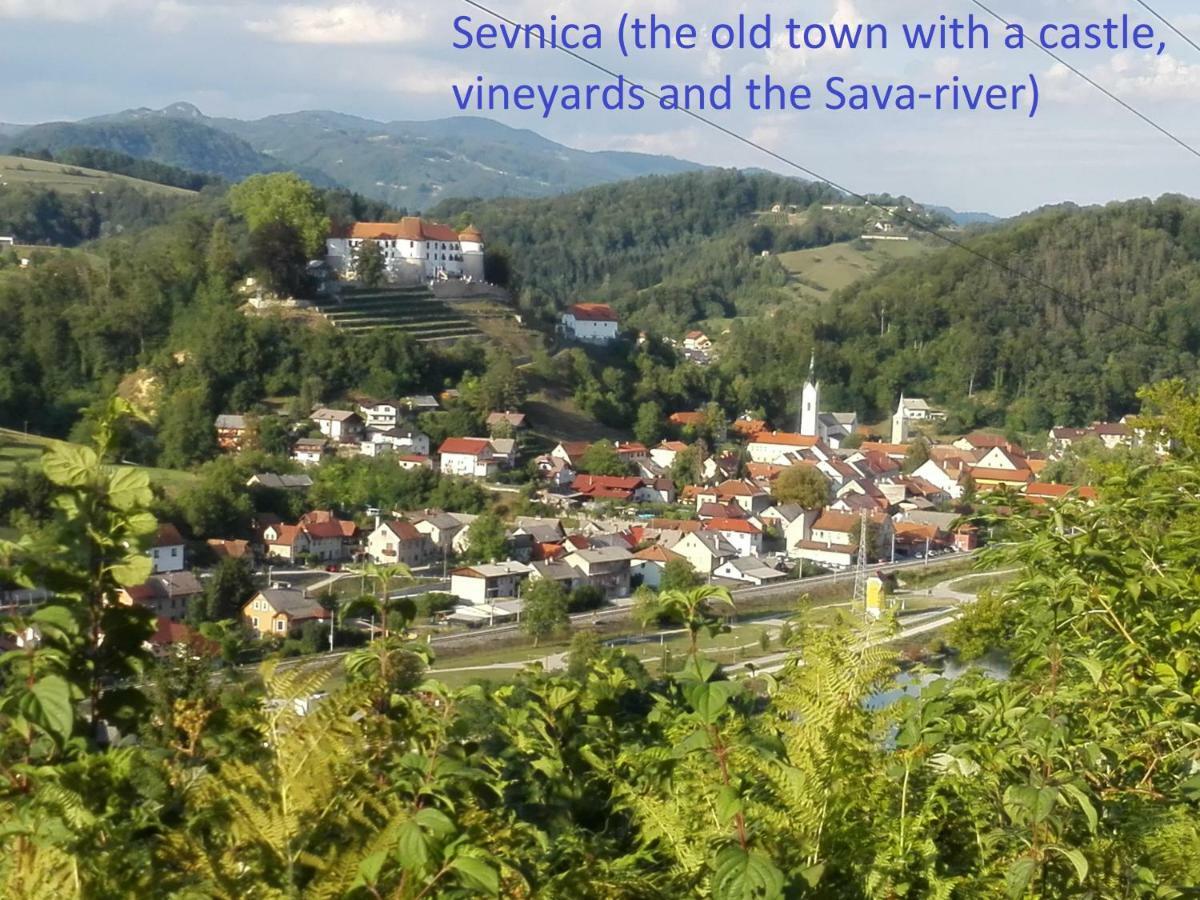 Getaway "At The Three Lights" Villa Sevnica Exterior photo